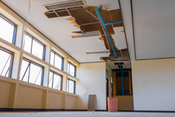 Best Flood restoration services  in Prairie Du Chien, WI