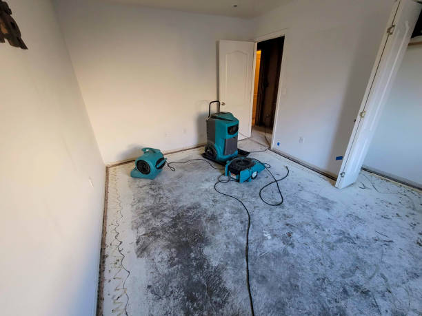 Best Mold removal after water damage  in Prairie Du Chien, WI