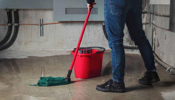 Best Sewage cleanup and water damage restoration  in Prairie Du Chien, WI