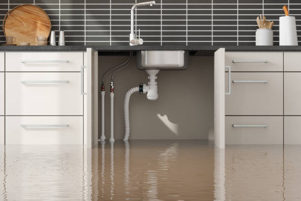 Best Local water damage restoration  in Prairie Du Chien, WI