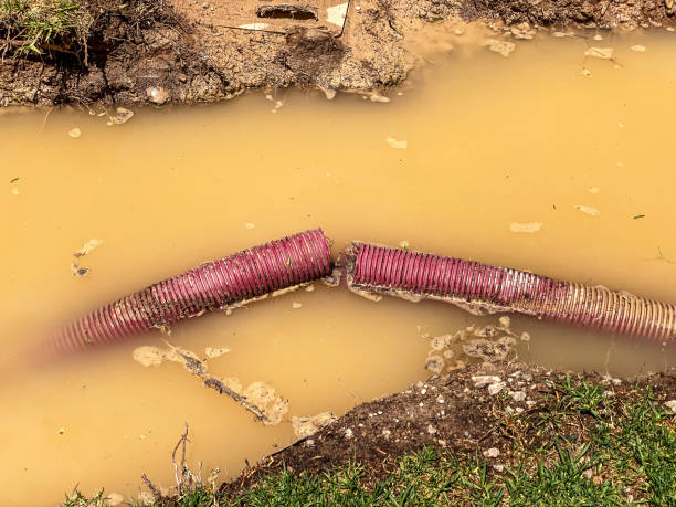 Best Water damage contractors near me  in Prairie Du Chien, WI